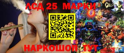 индика Бердск