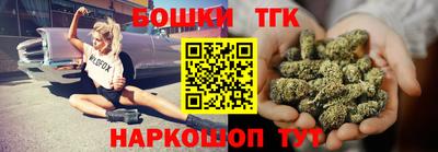 индика Бердск