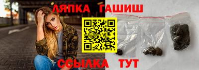 индика Бердск
