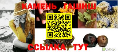 индика Бердск
