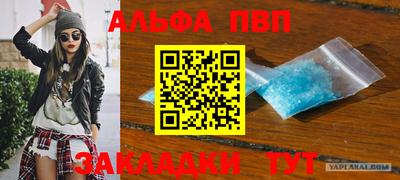 индика Бердск