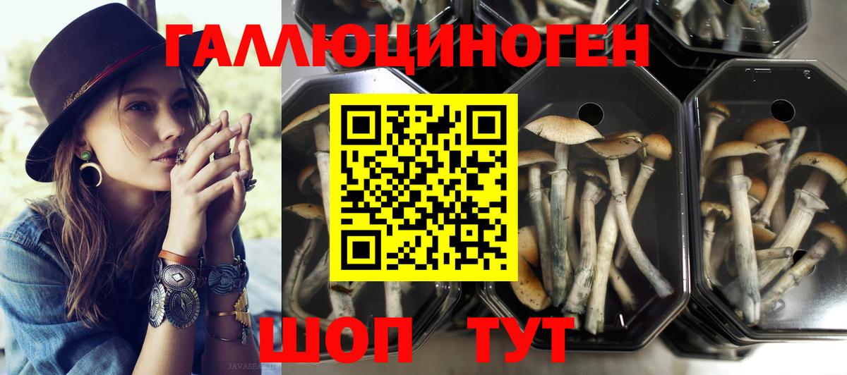 Псилоцибиновые грибы MAGIC MUSHROOMS  Вход с VPN  Белебей  Галлюциногенные грибы Cubensis 